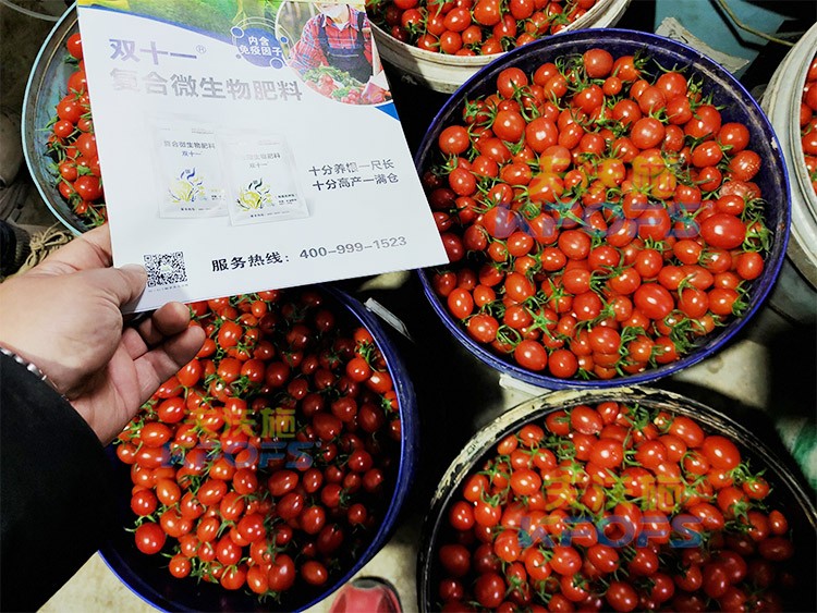 夫沃施進(jìn)口肥怎么樣？