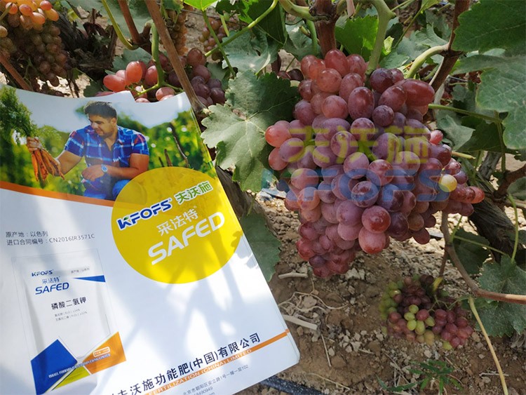 磷酸二氫鉀為什么都說(shuō)粉劑的好？
