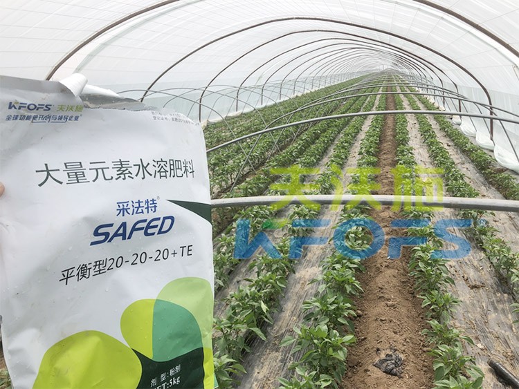 大量元素水溶肥為什么都說進口的好？