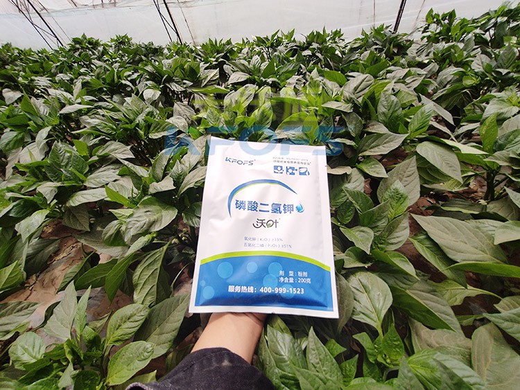 磷酸二氫鉀的正規(guī)廠家是什么樣的？