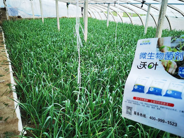 微生物菌劑選它，放心又舒心！