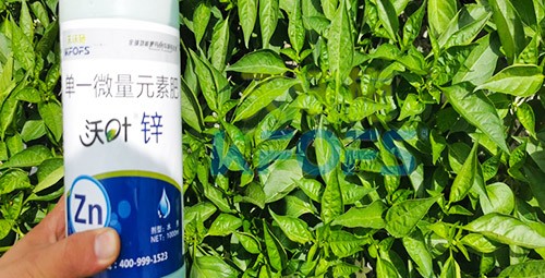 鋅肥是什么肥料？辣椒用有什么好處？