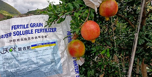 石榴施肥用什么肥料效果好？
