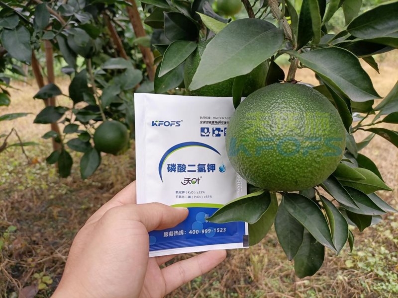 磷酸二氫鉀在果樹上使用有什么好處？