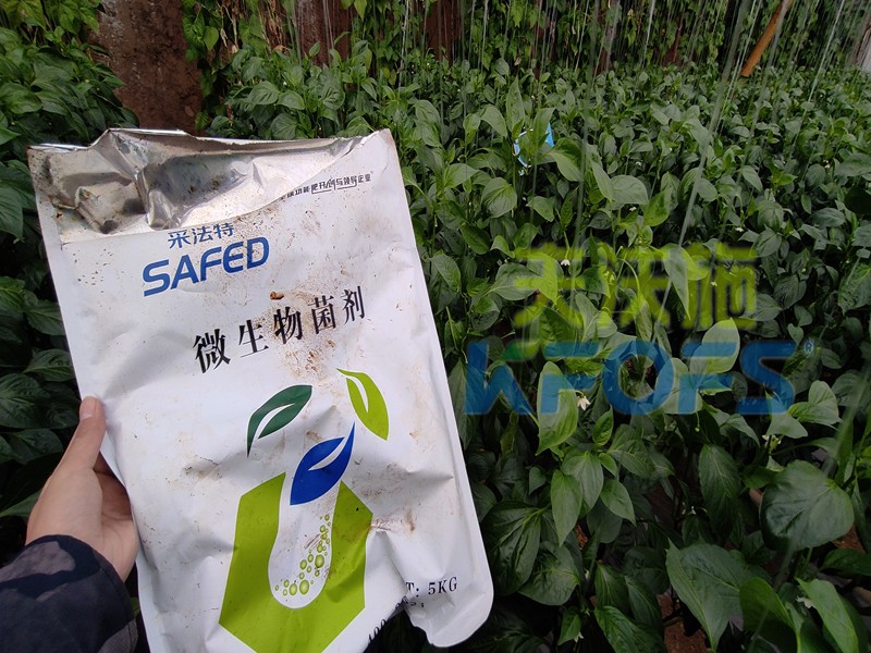 微生物菌劑，你不知道的秘密在這里！