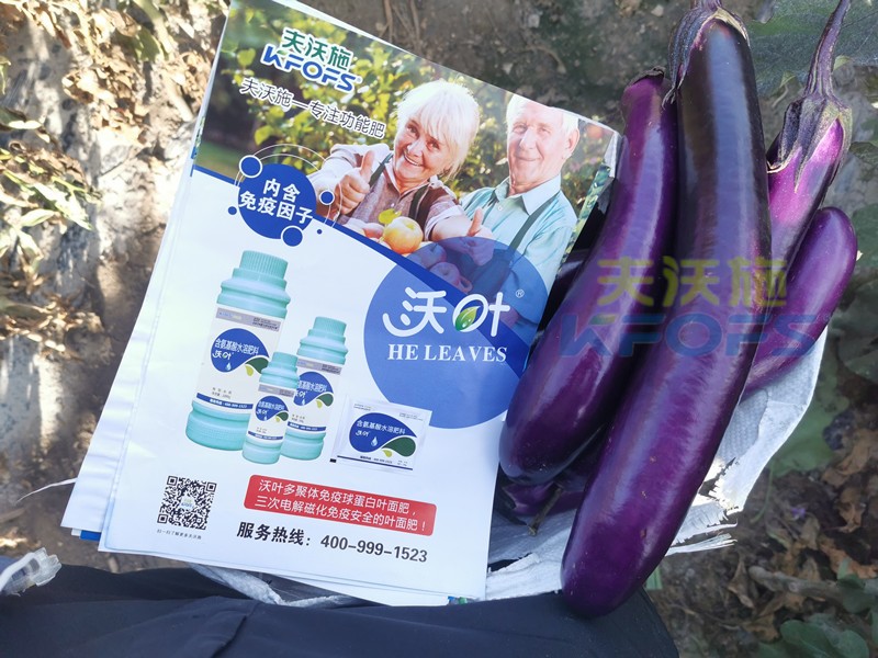 葉面肥哪個(gè)好？這款都說(shuō)好
