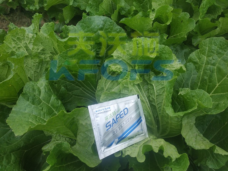 白菜葉面肥哪家好？
