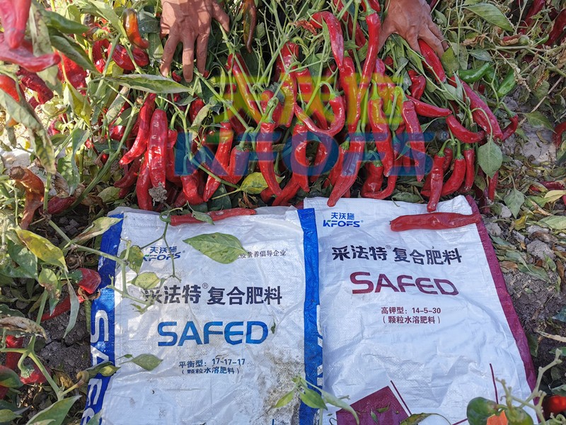 水溶肥公司查不到？值得信賴嗎？