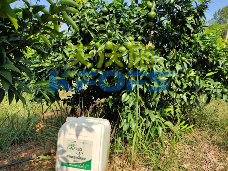 果樹使用哪種水溶肥能安全過(guò)冬？