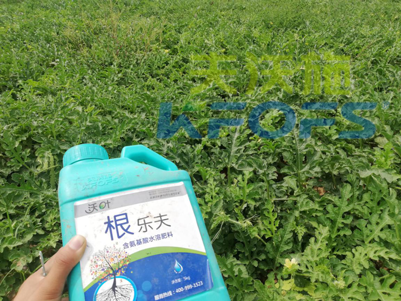 生根劑用多了燒根嗎？