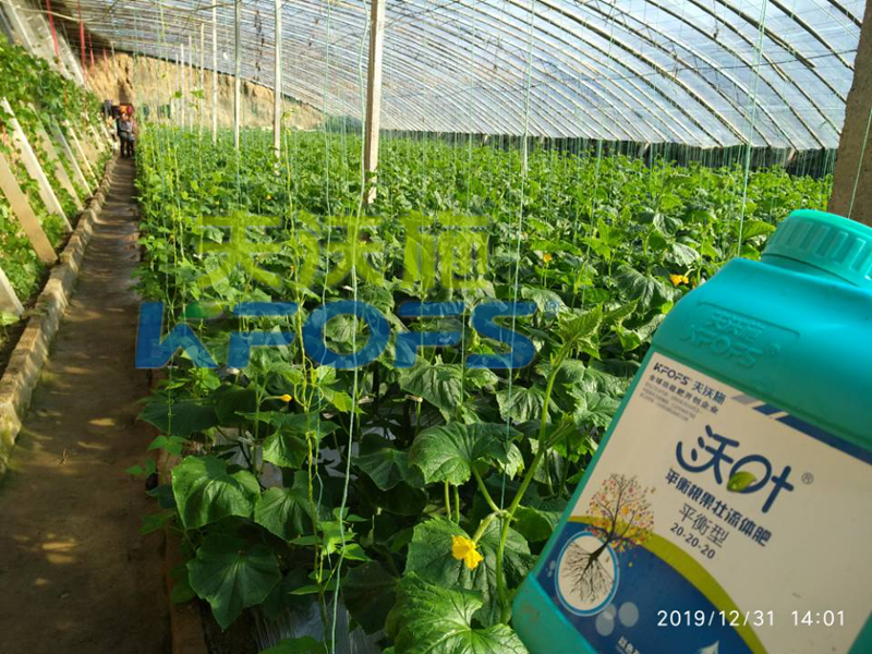 水溶肥怎么用效果好？追肥可以嗎？