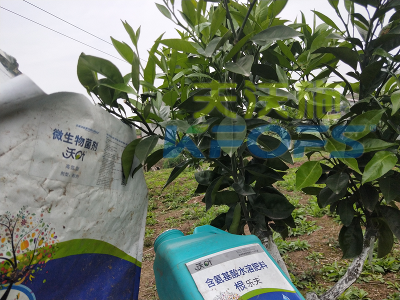 春耕施肥水溶肥如何選擇？
