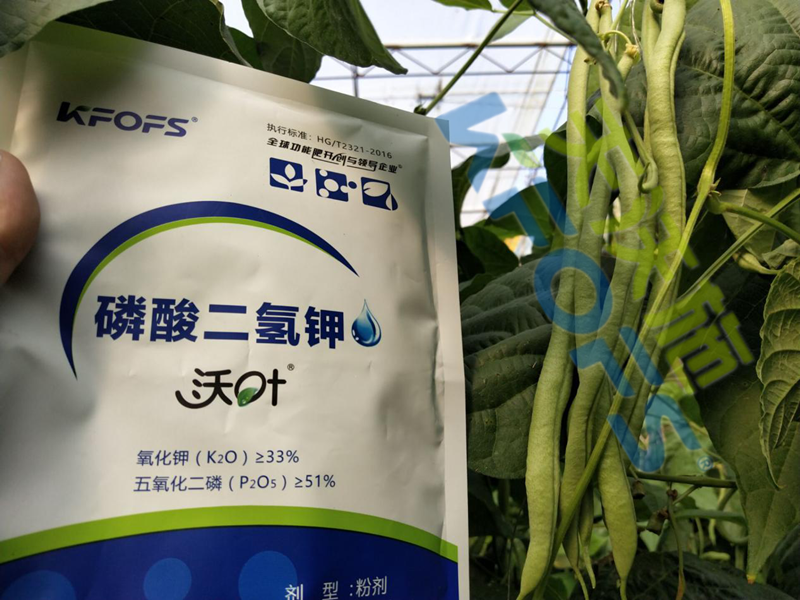 磷酸二氫鉀多少錢一噸？它們有什么差別？