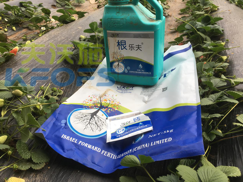 進(jìn)口水溶肥和國(guó)產(chǎn)水溶肥的區(qū)別，說的很清楚