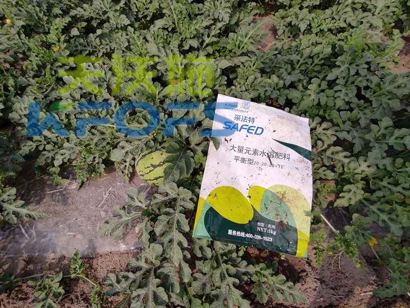 進口水溶肥受歡迎的關(guān)鍵點