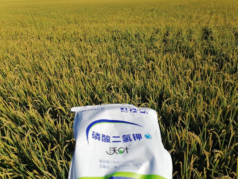 三分鐘看懂磷酸二氫鉀哪個(gè)品牌好！
