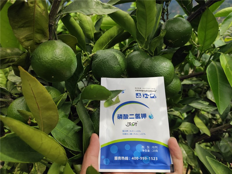 水溶肥價格為何天差地別