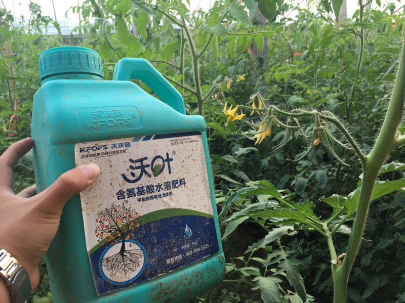 水溶肥如何在冬季使用？