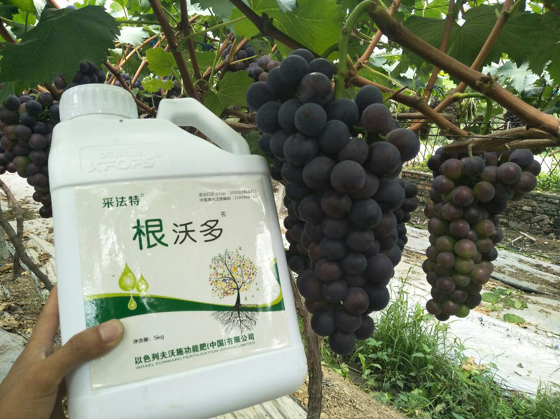 生根劑哪個(gè)好？養(yǎng)根護(hù)根很關(guān)鍵！