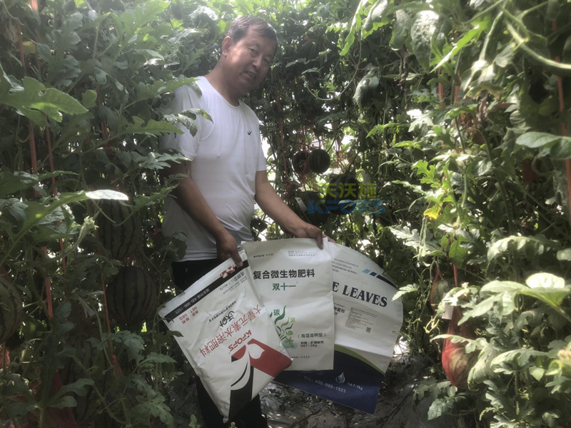 西瓜重茬栽培怎么治？王大叔告訴你答案！
