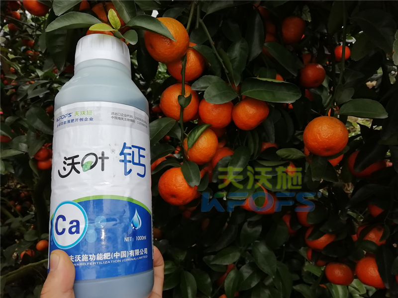 種柑橘用什么肥料好？