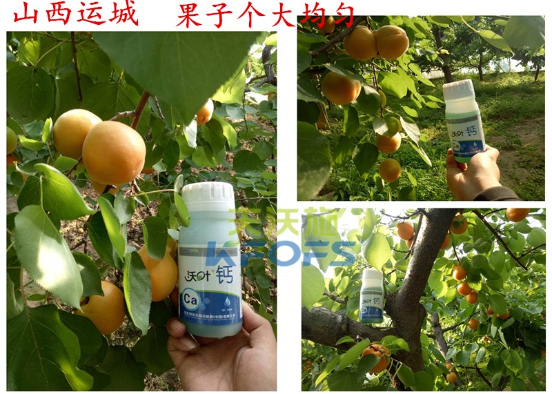 螯合鈣的用途！.jpg