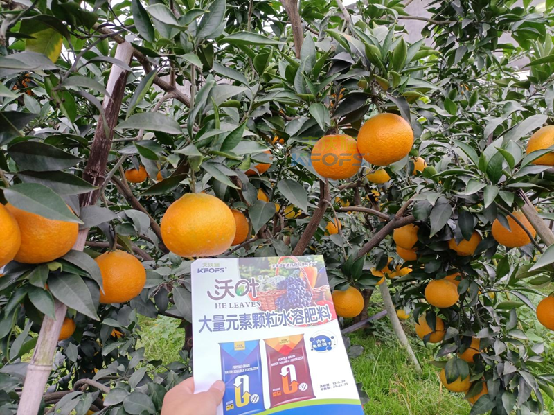 水溶肥可以直接撒施嗎？
