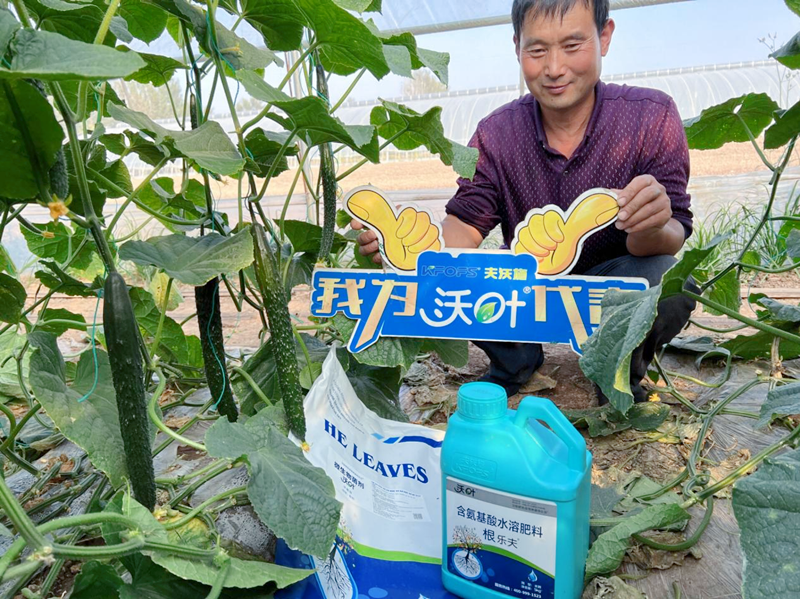 微生物菌劑越來越受歡迎的原因有哪些？