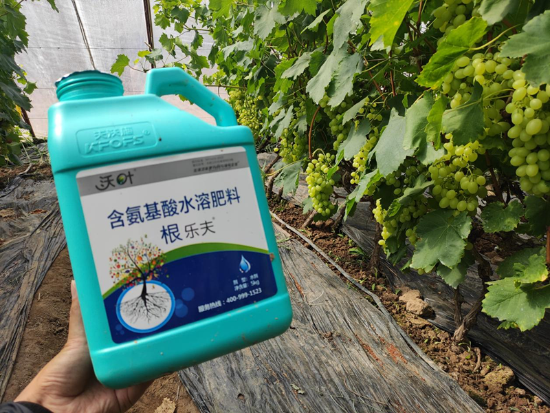 水溶肥選擇，要注意什么?