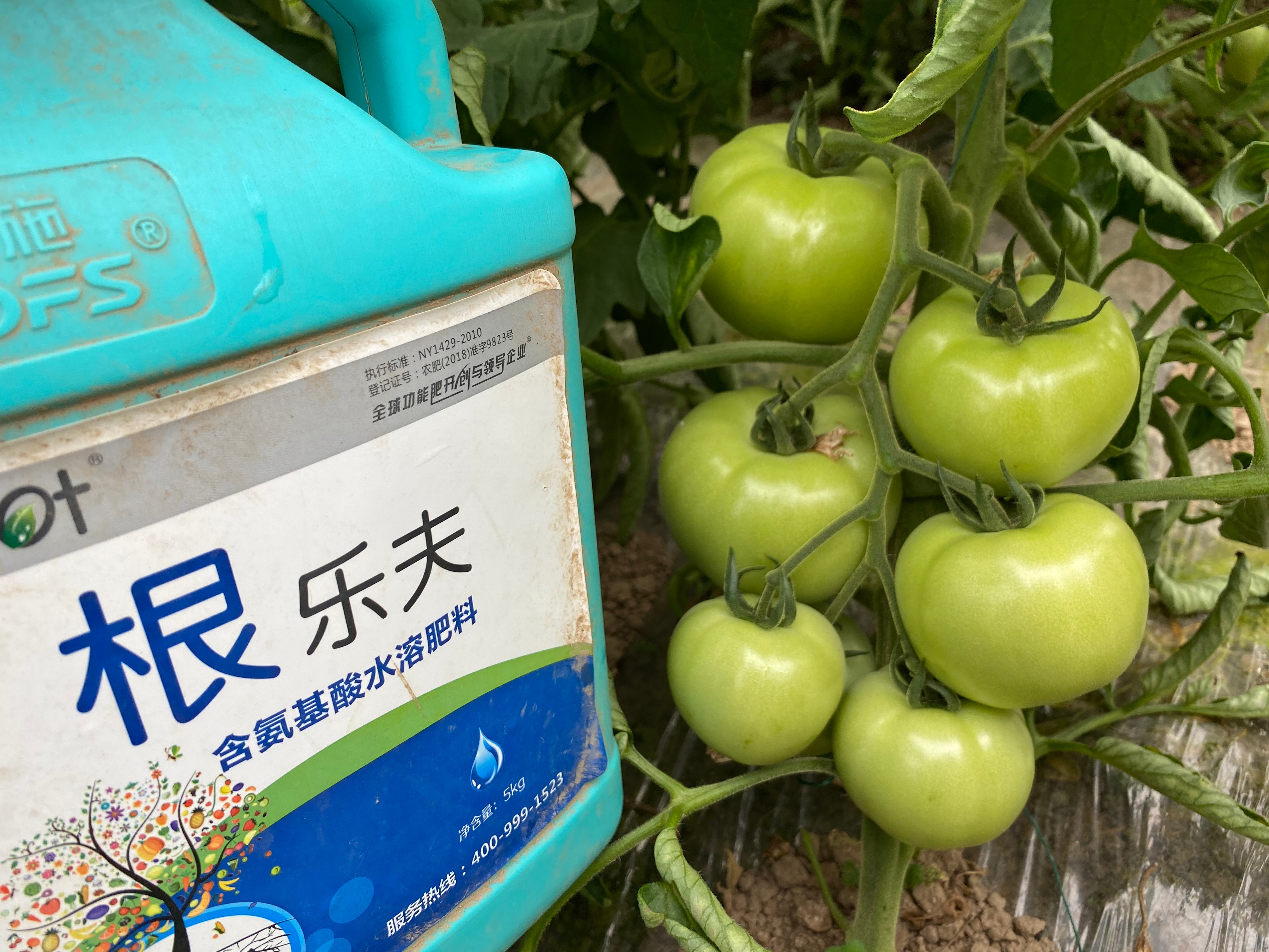生根劑效果好不好？