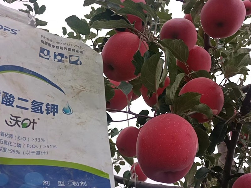蘋果樹(shù)施什么肥料好?李大叔信賴這款