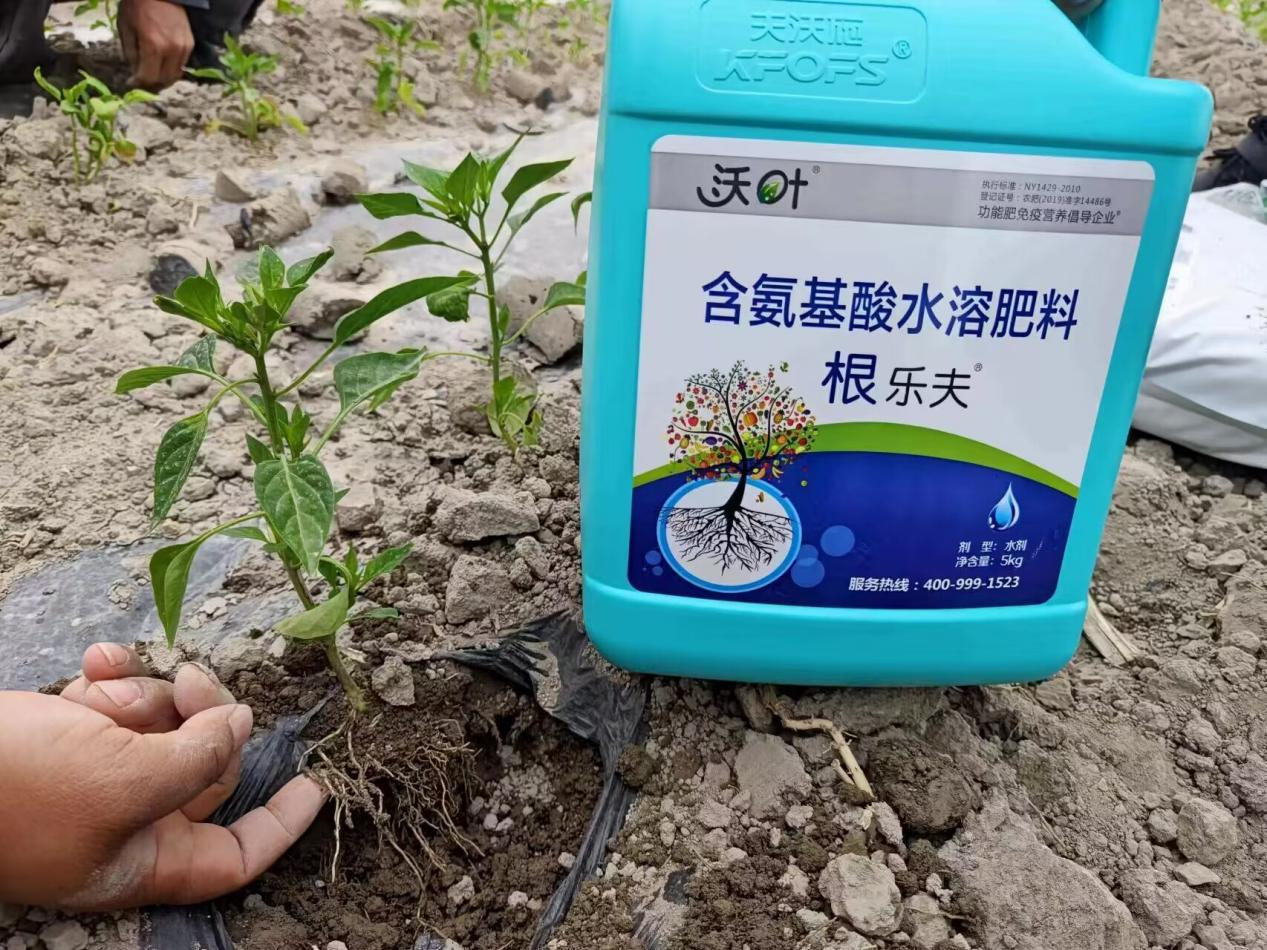 什么生根劑最好？看評價很高的這款