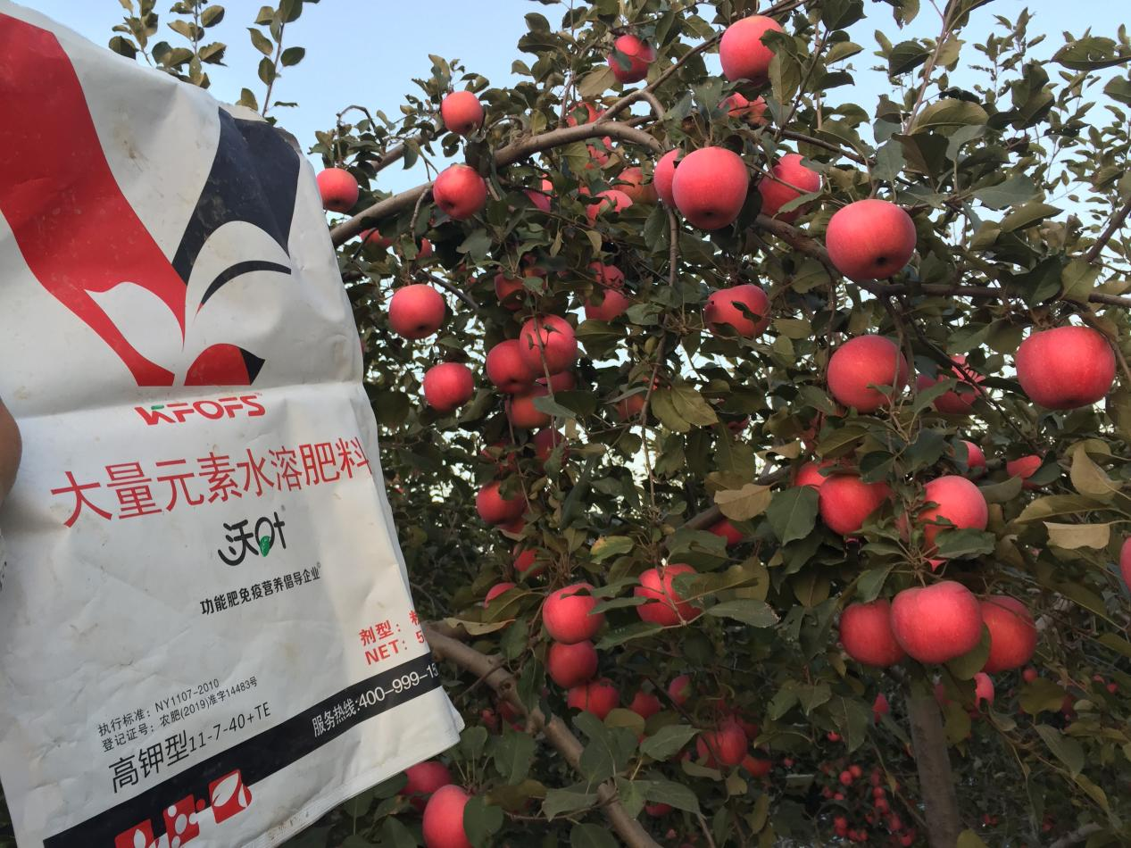 水溶肥哪家好？李大哥告訴你