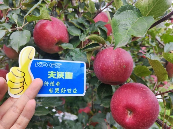 微生物菌劑，作物增產(chǎn)的“敲門磚”
