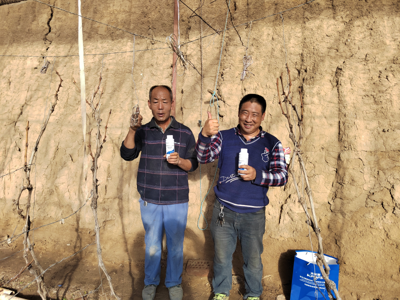 “倒春寒”果樹如何預防-采法特葡萄用戶見證.png