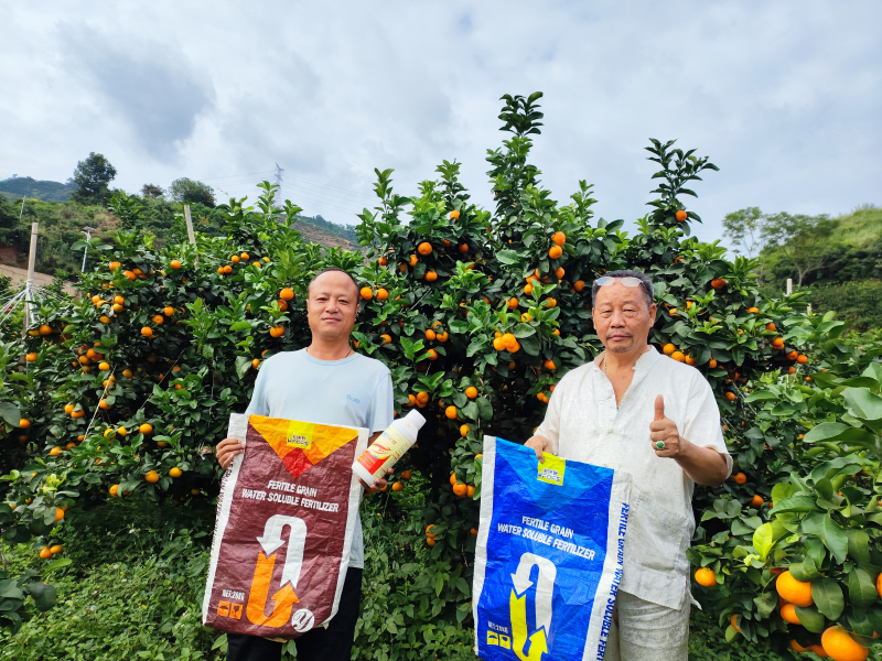 土壤板結(jié)到底能不能解決？