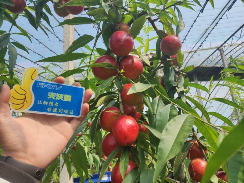 微生物菌劑的作用，你真的了解嗎？