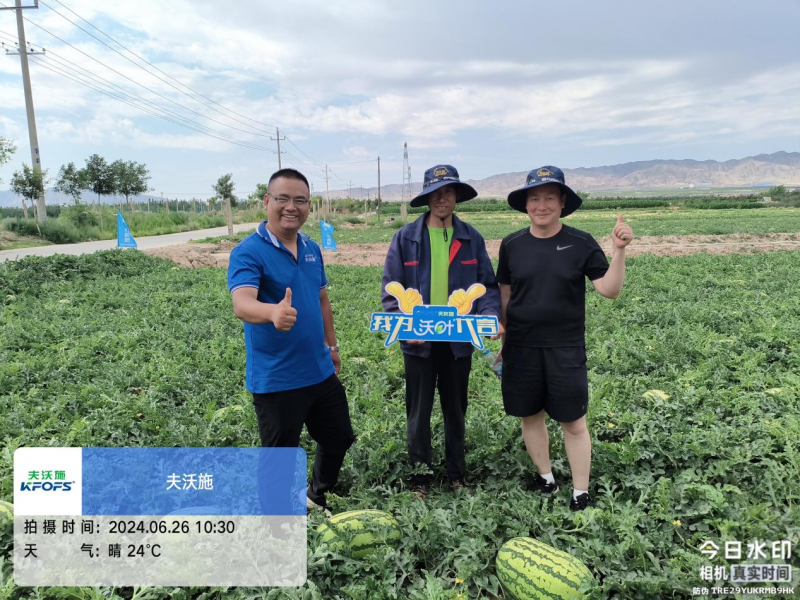 西瓜藥害怎么辦？水溶肥調(diào)理解決